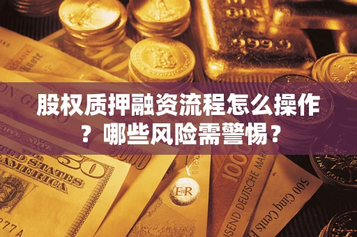 武汉股权质押融资流程怎么操作？哪些风险需警惕？