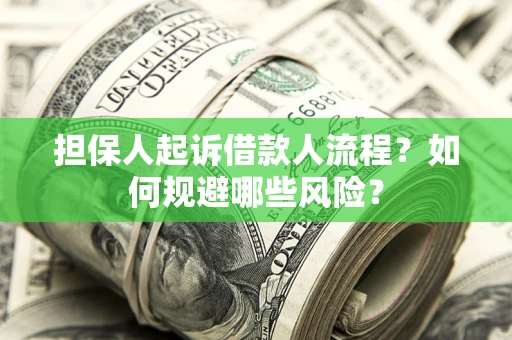 武汉担保人起诉借款人流程？如何规避哪些风险？