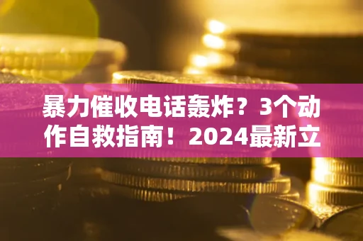 武汉暴力催收电话轰炸？3个动作自救指南！2024最新立案标准全解析